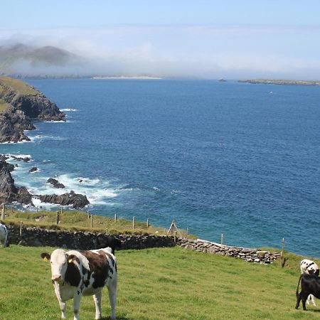 Cois Chnoic Holiday Home Dingle By Trident Holiday Homes Екстер'єр фото