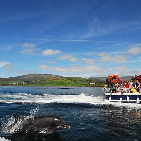 Cois Chnoic Holiday Home Dingle By Trident Holiday Homes Екстер'єр фото