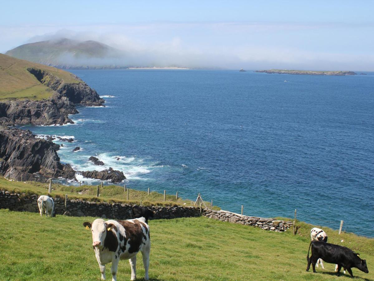 Cois Chnoic Holiday Home Dingle By Trident Holiday Homes Екстер'єр фото