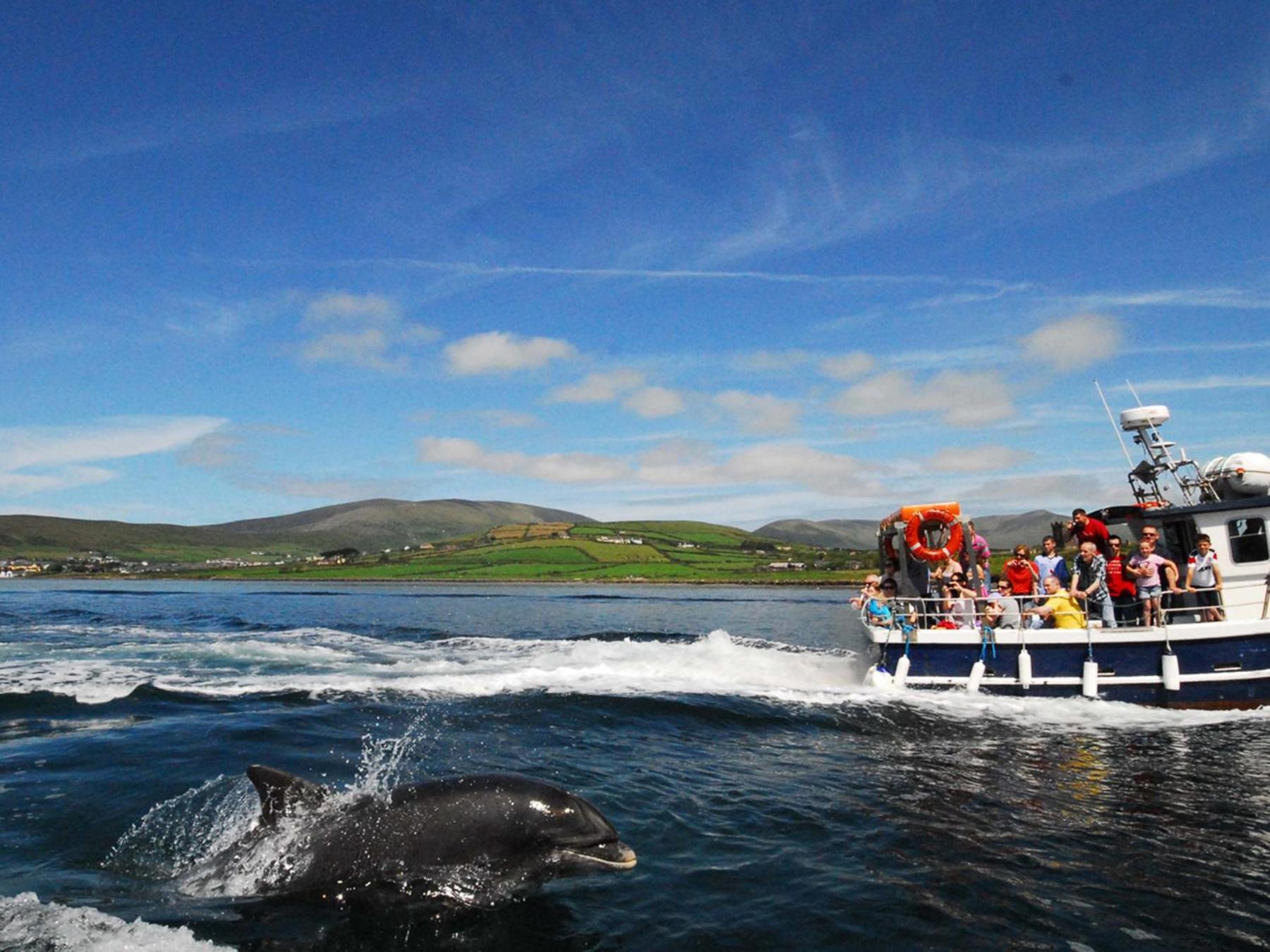 Cois Chnoic Holiday Home Dingle By Trident Holiday Homes Екстер'єр фото